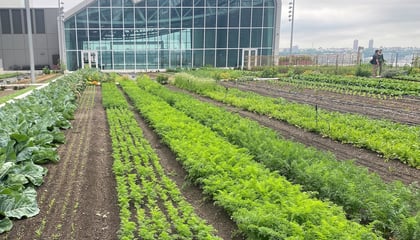 Javits Center Expansion